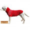 CC-Bailey-Red-03